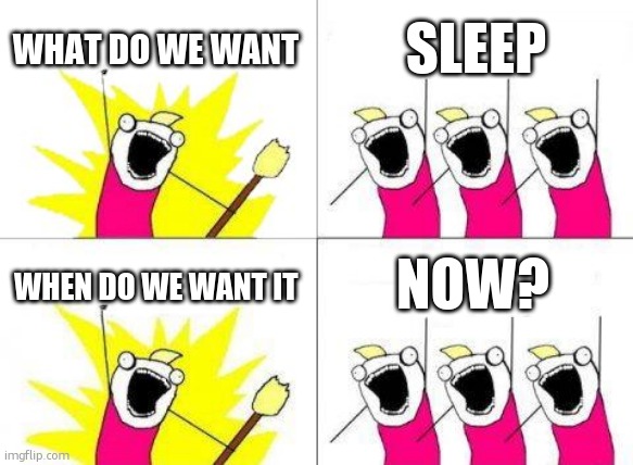 pov:me rn | WHAT DO WE WANT; SLEEP; NOW? WHEN DO WE WANT IT | image tagged in memes,what do we want | made w/ Imgflip meme maker
