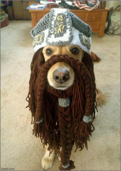 Have You Seen The Dog ? | image tagged in dogs,disguise | made w/ Imgflip meme maker