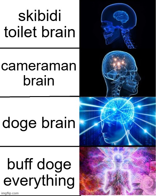 skibidi toilet vs doge | skibidi toilet brain; cameraman brain; doge brain; buff doge everything | image tagged in galaxy brain | made w/ Imgflip meme maker