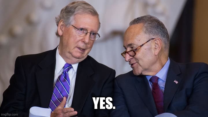 McConnell and Schumer | YES. | image tagged in mcconnell and schumer | made w/ Imgflip meme maker