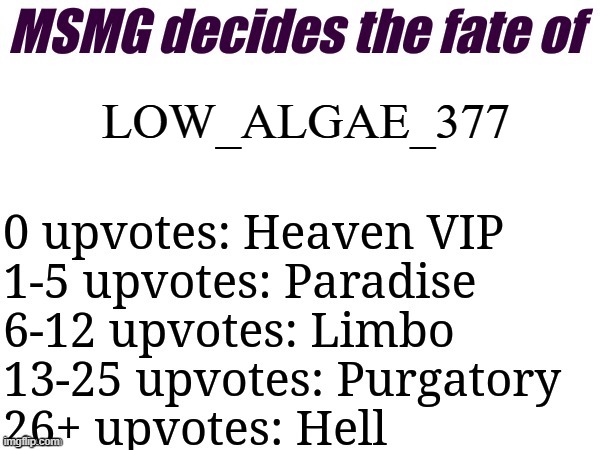 MSMG decides | LOW_ALGAE_377 | image tagged in msmg decides | made w/ Imgflip meme maker