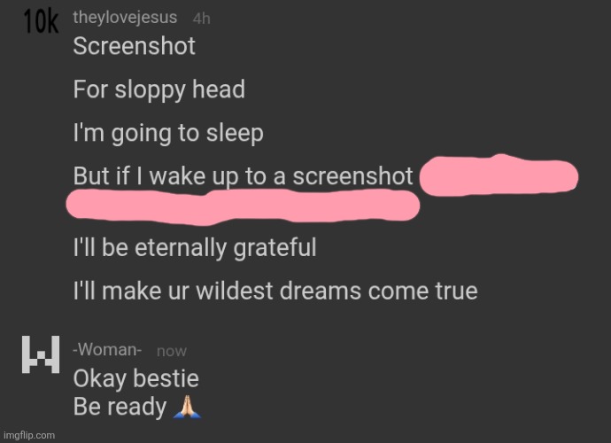 made w/ Imgflip meme maker