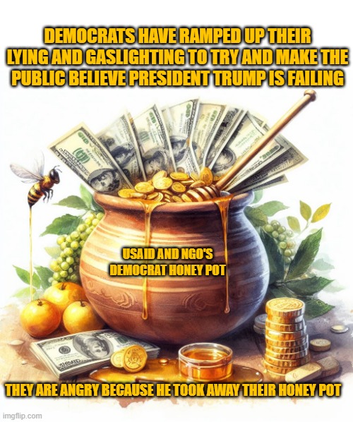 Democrat honey pot | DEMOCRATS HAVE RAMPED UP THEIR LYING AND GASLIGHTING TO TRY AND MAKE THE PUBLIC BELIEVE PRESIDENT TRUMP IS FAILING; USAID AND NGO'S
DEMOCRAT HONEY POT; THEY ARE ANGRY BECAUSE HE TOOK AWAY THEIR HONEY POT | made w/ Imgflip meme maker