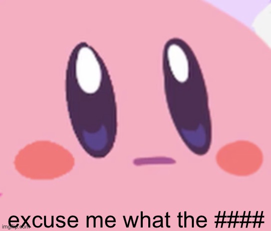 Blank Kirby Face | excuse me what the #### | image tagged in blank kirby face | made w/ Imgflip meme maker