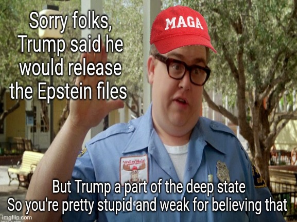 Stupid weaklings. | image tagged in donald trump,epstein,never going to release,campaign promises,deep state,maga sheep | made w/ Imgflip meme maker