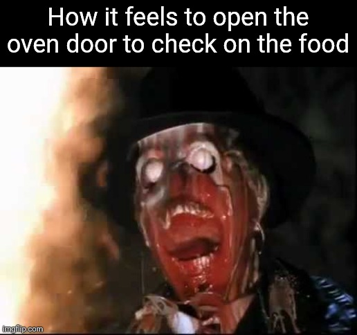 ark of the covenant face melt | How it feels to open the oven door to check on the food | image tagged in ark of the covenant face melt,relatable,memes,funny | made w/ Imgflip meme maker