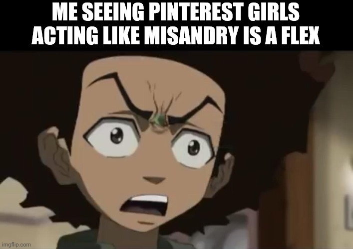 Yeah I get that misogyny is worse cuz more girls have suffered in history but that's no excuse for blatant sexism | ME SEEING PINTEREST GIRLS ACTING LIKE MISANDRY IS A FLEX | image tagged in boondocks,pinterest,misandry,sexism | made w/ Imgflip meme maker