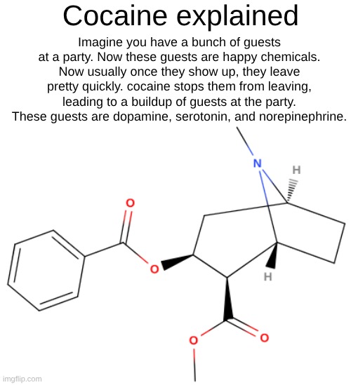 drug lesson #2 | Cocaine explained; Imagine you have a bunch of guests at a party. Now these guests are happy chemicals. Now usually once they show up, they leave pretty quickly. cocaine stops them from leaving, leading to a buildup of guests at the party. These guests are dopamine, serotonin, and norepinephrine. | made w/ Imgflip meme maker