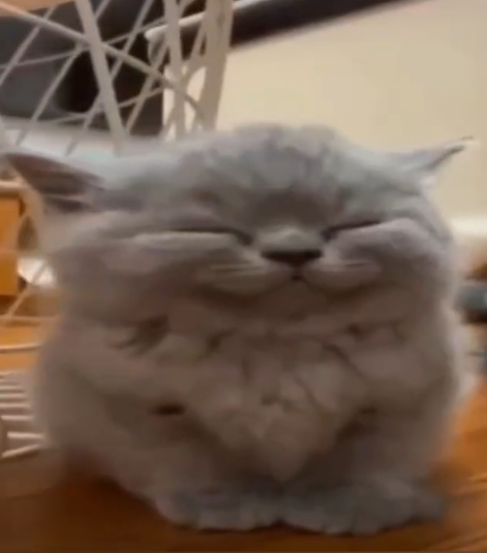 Chill little guy Blank Meme Template