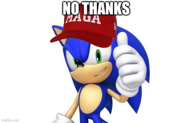 sonic thumbs up | NO THANKS | image tagged in sonic thumbs up | made w/ Imgflip meme maker