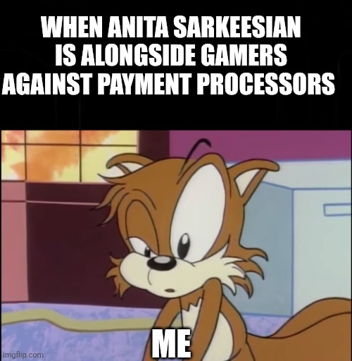Very confused Tails | WHEN ANITA SARKEESIAN IS ALONGSIDE GAMERS AGAINST PAYMENT PROCESSORS; ME | image tagged in very confused tails | made w/ Imgflip meme maker