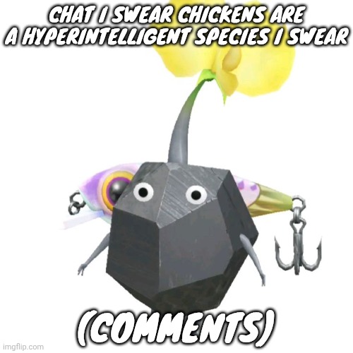 Fishing bait rock pikmin | CHAT I SWEAR CHICKENS ARE A HYPERINTELLIGENT SPECIES I SWEAR; (COMMENTS) | image tagged in fishing bait rock pikmin | made w/ Imgflip meme maker