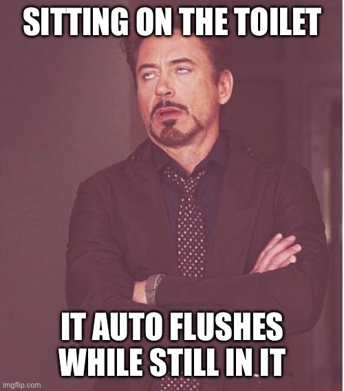 Face You Make Robert Downey Jr | SITTING ON THE TOILET; IT AUTO FLUSHES WHILE STILL IN IT | image tagged in memes,face you make robert downey jr | made w/ Imgflip meme maker