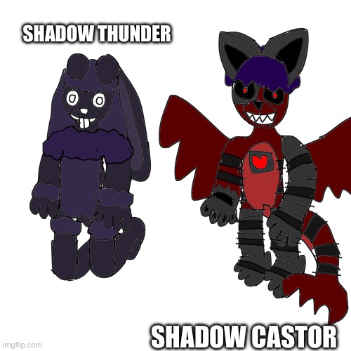 SHADOW THUNDER; SHADOW CASTOR | made w/ Imgflip meme maker