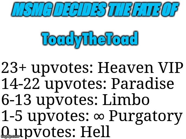 MSMG decides | ToadyTheToad | image tagged in msmg decides | made w/ Imgflip meme maker