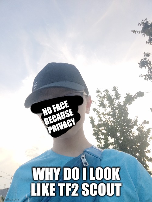 NO FACE BECAUSE PRIVACY; WHY DO I LOOK LIKE TF2 SCOUT | made w/ Imgflip meme maker