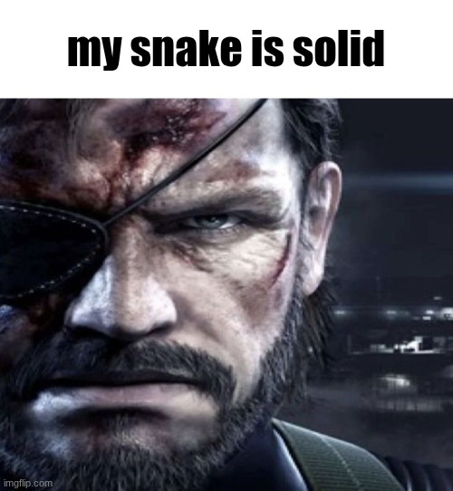 Solid Snake Staring | my snake is solid | image tagged in solid snake staring | made w/ Imgflip meme maker