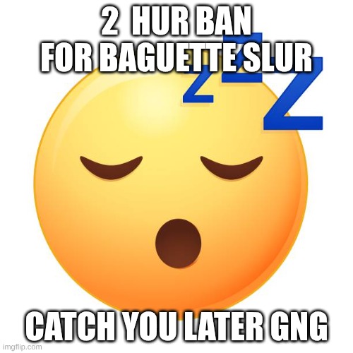 Do NOT test if the slurs are actually bannable. | 2  HUR BAN FOR BAGUETTE SLUR; CATCH YOU LATER GNG | made w/ Imgflip meme maker