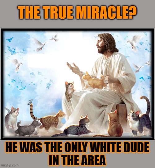 This #lolcat wonders what the true miracle about Jesus was | THE TRUE MIRACLE? HE WAS THE ONLY WHITE DUDE
IN THE AREA | image tagged in miracle,jesus,lolcat,racism | made w/ Imgflip meme maker