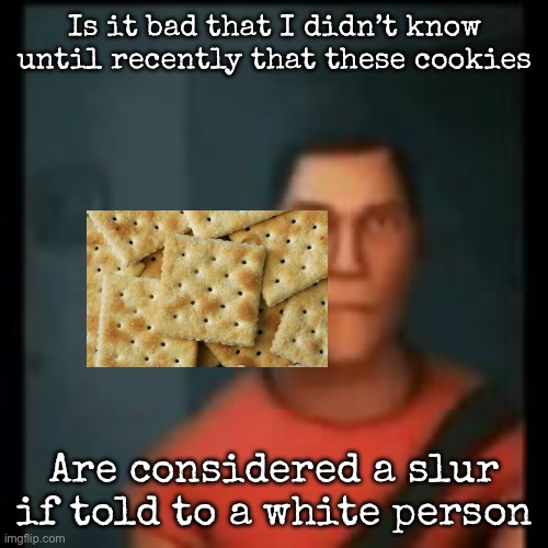 Disappointed Scout | Is it bad that I didn’t know until recently that these cookies; Are considered a slur if told to a white person | image tagged in disappointed scout,msmg | made w/ Imgflip meme maker