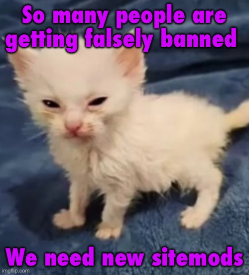 Car :3 | So many people are getting falsely banned; We need new sitemods | image tagged in car 3 | made w/ Imgflip meme maker