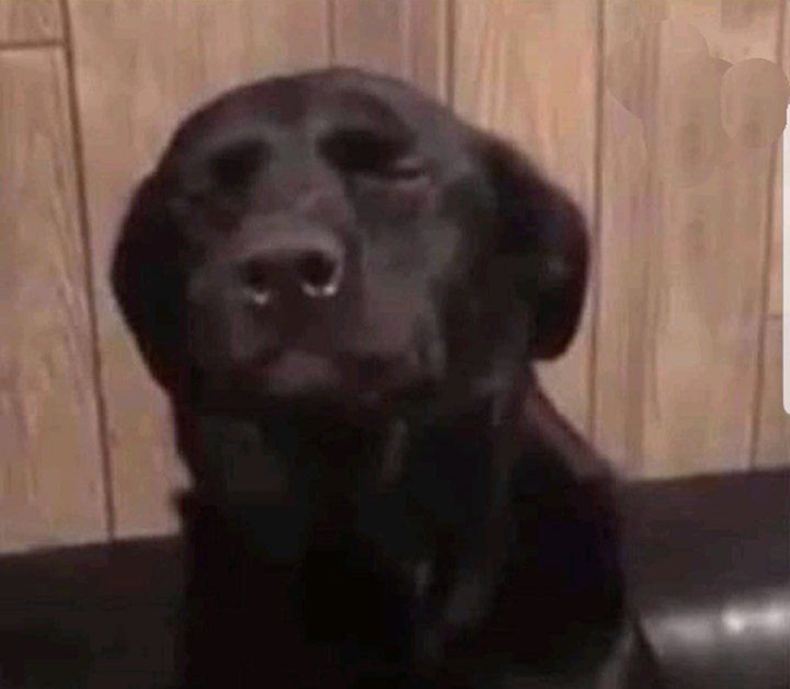 Hey God Blank Meme Template