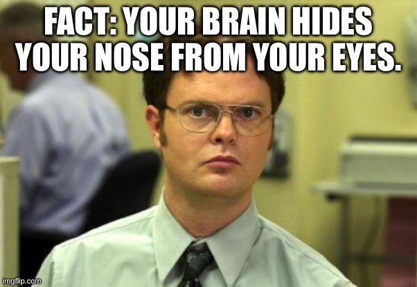 Facts | FACT: YOUR BRAIN HIDES YOUR NOSE FROM YOUR EYES. | image tagged in memes,dwight schrute | made w/ Imgflip meme maker