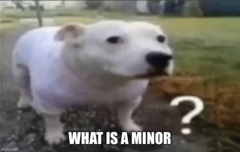 ? | WHAT IS A MINOR | made w/ Imgflip meme maker
