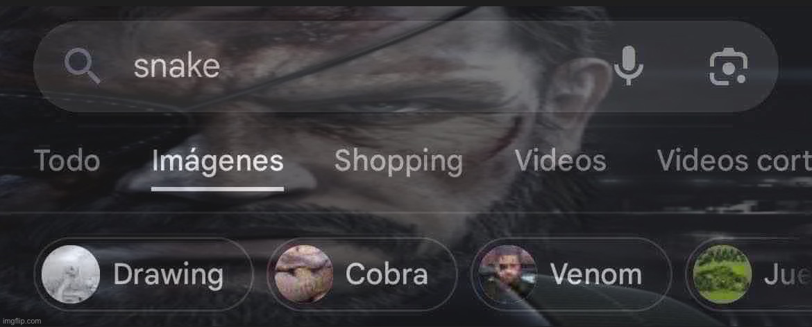 I love when the third suggestion in images is Invisible | image tagged in msmg | made w/ Imgflip meme maker