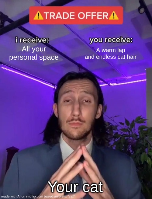 hMMMMMMMMMMMMMMMMMM | All your personal space; A warm lap and endless cat hair; Your cat | image tagged in trade offer | made w/ Imgflip meme maker