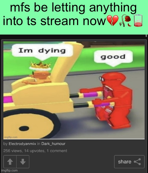 mfs be letting anything into ts stream now💔🥀🪫 | made w/ Imgflip meme maker