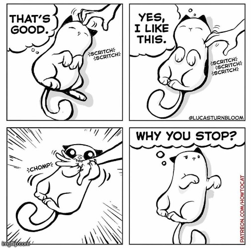 How to Cat | image tagged in cats,comics,how to cat | made w/ Imgflip meme maker