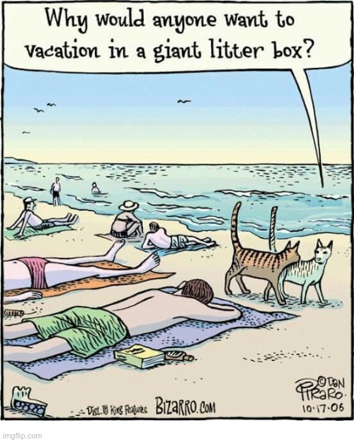 image tagged in cats,bizarro comics,beach,giant litter box,comics | made w/ Imgflip meme maker