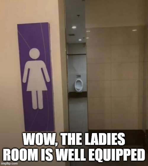 Ladies Room? | WOW, THE LADIES ROOM IS WELL EQUIPPED | image tagged in you had one job | made w/ Imgflip meme maker