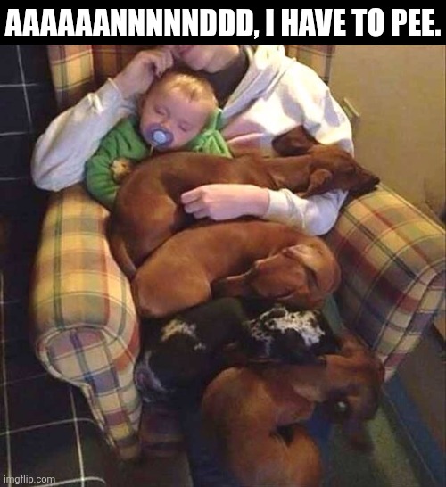 Aaaaaannnnnddd, I Have To Pee. | AAAAAANNNNNDDD, I HAVE TO PEE. | image tagged in chrisjoines1 | made w/ Imgflip meme maker