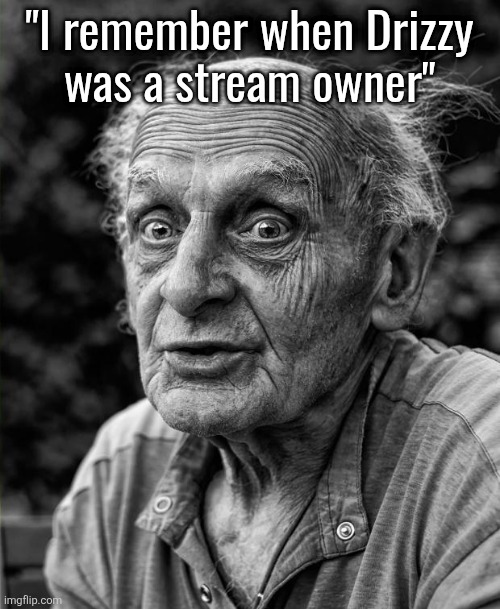 Old man | "I remember when Drizzy
was a stream owner" | image tagged in old man | made w/ Imgflip meme maker