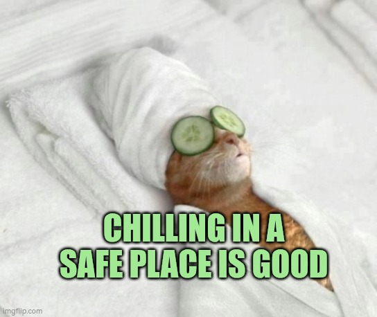 Chilling in a safe place is good | CHILLING IN A SAFE PLACE IS GOOD | image tagged in sleeping cat,just chillin',chill,chillin,safe space | made w/ Imgflip meme maker