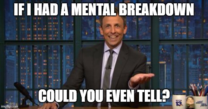 Seth Meyers Sell Out | IF I HAD A MENTAL BREAKDOWN COULD YOU EVEN TELL? | image tagged in seth meyers sell out | made w/ Imgflip meme maker