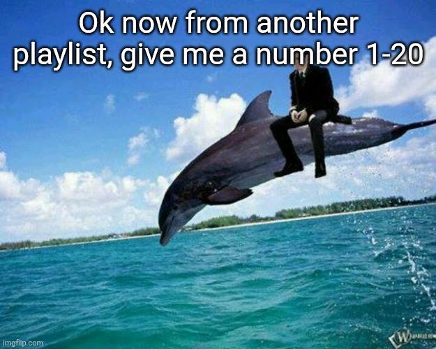 What the hell | Ok now from another playlist, give me a number 1-20 | image tagged in what the hell | made w/ Imgflip meme maker
