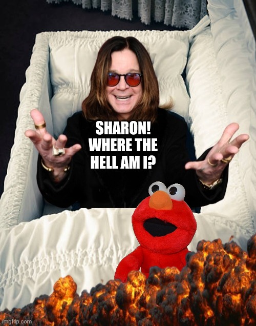 Sharon | SHARON! WHERE THE HELL AM I? | image tagged in ozzy osbourne in casket,ozzy osbourne,ozzy,elmo,black sabbath | made w/ Imgflip meme maker