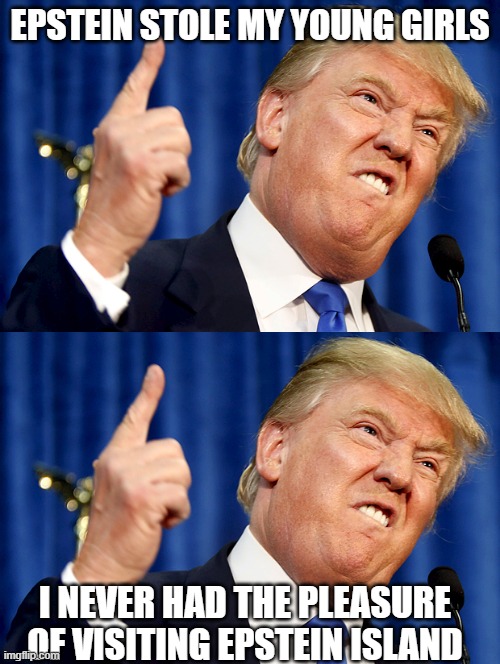 EPSTEIN STOLE MY YOUNG GIRLS; I NEVER HAD THE PLEASURE OF VISITING EPSTEIN ISLAND | image tagged in donald trump | made w/ Imgflip meme maker