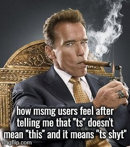 Arnold schwarzenegger | how msmg users feel after telling me that "ts" doesn't mean "this" and it means "ts shyt" | image tagged in arnold schwarzenegger | made w/ Imgflip meme maker
