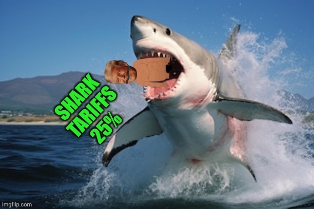Jaws | image tagged in donald trump,let's raise their taxes,tariffs,great white shark,shark week | made w/ Imgflip meme maker