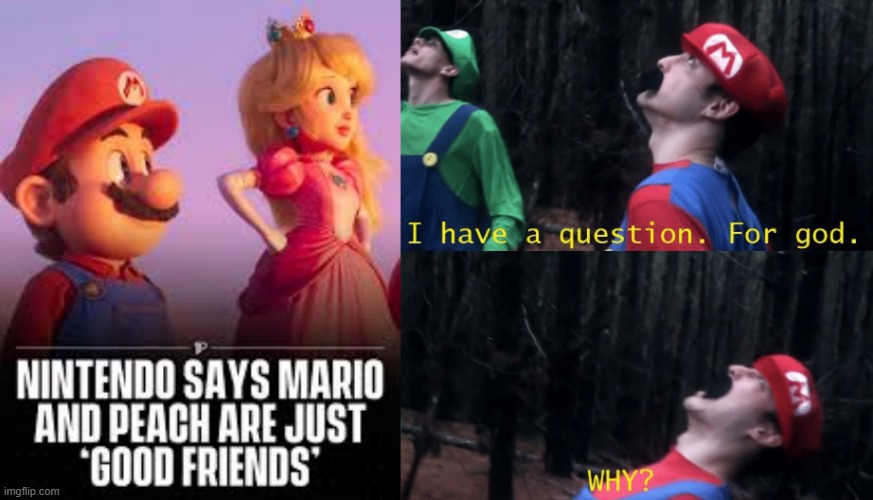 friend zoned (Nintendo's way of saying stop shipping Mario and Peach.) | image tagged in i have a question for god why,super mario,princess peach,mario,nintendo | made w/ Imgflip meme maker
