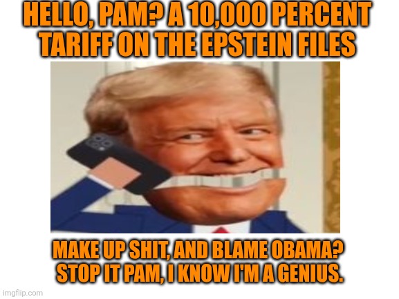 Blank White Template | HELLO, PAM? A 10,000 PERCENT TARIFF ON THE EPSTEIN FILES MAKE UP SHIT, AND BLAME OBAMA? 
STOP IT PAM, I KNOW I'M A GENIUS. | image tagged in blank white template | made w/ Imgflip meme maker