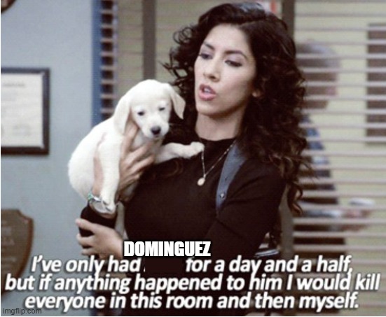 Rosa and Arlo meme | DOMINGUEZ | image tagged in rosa and arlo meme | made w/ Imgflip meme maker