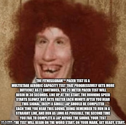 Wisaac Newtonburger | THE FITNESSGRAM™ PACER TEST IS A MULTISTAGE AEROBIC CAPACITY TEST THAT PROGRESSIVELY GETS MORE DIFFICULT AS IT CONTINUES. THE 20 METER PACER | image tagged in wisaac newtonburger | made w/ Imgflip meme maker