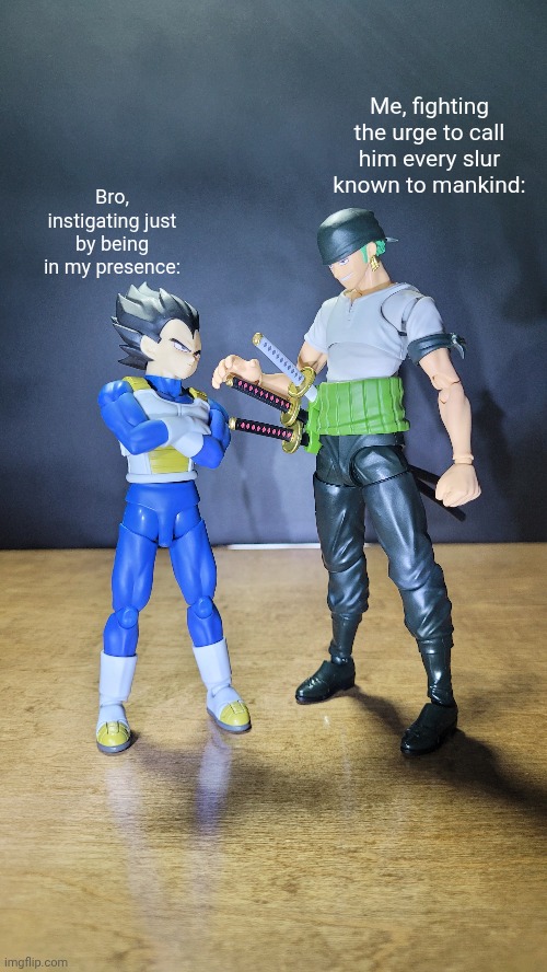I posed my figures and memed them | Me, fighting the urge to call him every slur known to mankind:; Bro, instigating just by being in my presence: | image tagged in anime,action figures,dragon ball,one piece,racism | made w/ Imgflip meme maker