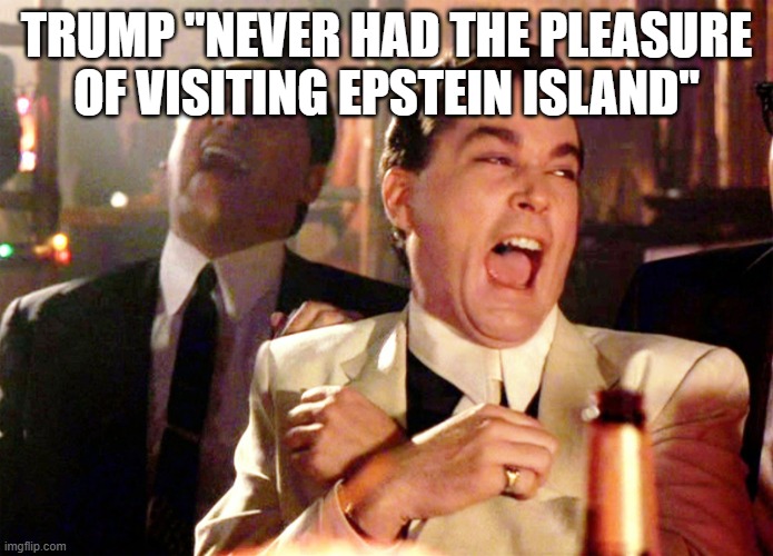 PLEASURE???? | TRUMP "NEVER HAD THE PLEASURE OF VISITING EPSTEIN ISLAND" | image tagged in memes,good fellas hilarious | made w/ Imgflip meme maker