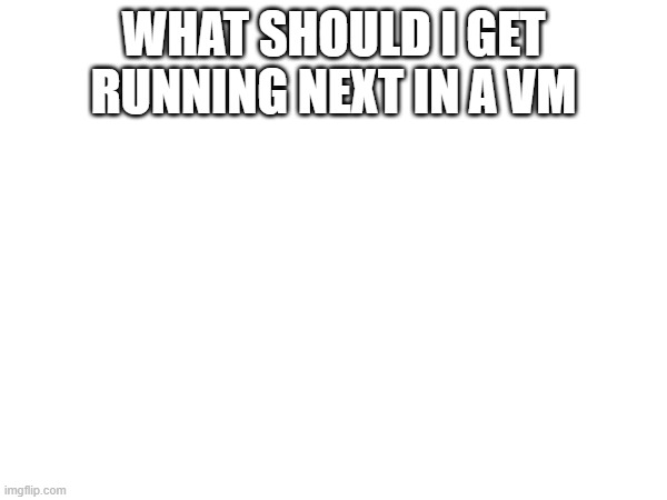 WHAT SHOULD I GET RUNNING NEXT IN A VM | made w/ Imgflip meme maker